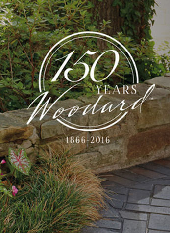 A Year to Remember: Woodard Celebrates 150-years of Craftsmanship